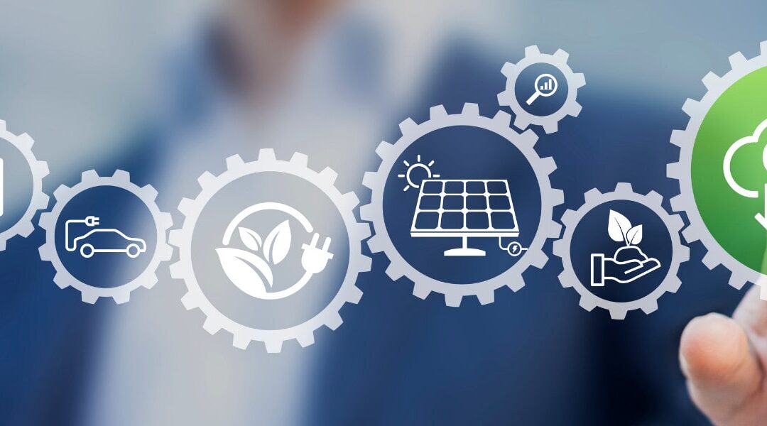 Race to Zero: Against the clock towards decarbonization